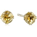 14k Yellow Gold Round Citrine with Silicone Back Stud Earrings