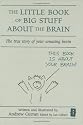 The Little Book of Big Stuff about the Brain:: The True Story of Your Amazing Brain (Independent Thinking Series)