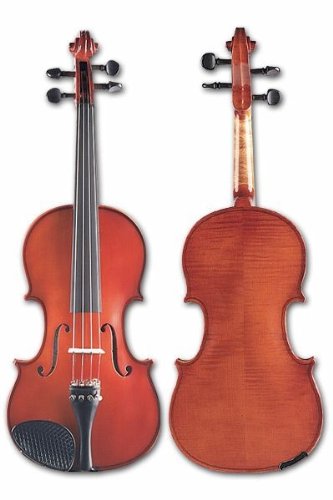 Klaus Mueller Allegro Viola - 14 inch, Prelude Case, Brazilwood Bow Klaus Mueller 