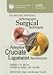 Arthroscopic Surgical Techniques: Anterior Cruciate Ligament Reconstruction