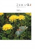 ここに いるよ 季節の花とねずみたち