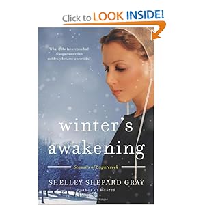 Winter's Awakening - Shelley Shepard Gray