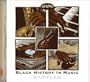 Black History in Music [54 Classic Tracks]