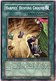  : YuGiOh Rise of Destiny Harpies' Hunting Ground RDS-EN038 Common