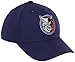NBA Charlotte Bobcats Structured Flex Hat - Tx19Z