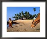 Woman and Cow on Beach, Anjuna Flea Market, Anjuna, India Framed Art Poster Print by Peter Ptschelinzew, 22x18
