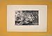 Landscape Miocene Period Old Print Antique C1870 Art