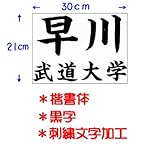 ��N�i�N�T�N���j���������p�_���[�b�P���i�h�J�������H�j30�~21cm ������ ���� JT53021KAB