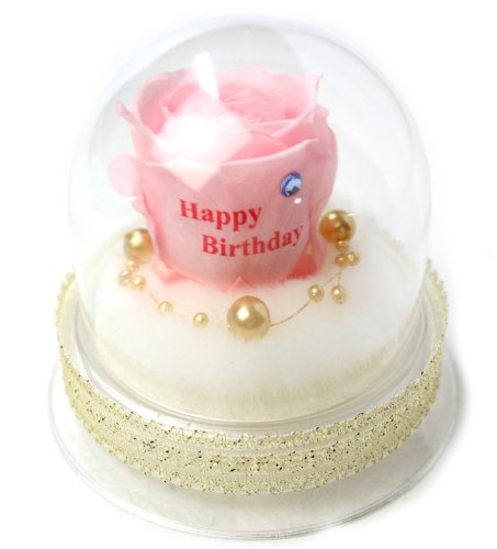 メッセージローズ (Preserved Rose) ローズドーム S1~情熱のラブジャック アトミック~ピンク 【バースデイストーン☆3月】【Happy Birthday】 22242