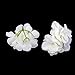 Tinksky Hydrangea Flowers for Home Wedding Decoration White, 20pcs of Pack
