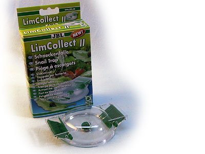 JBL 7002144 Lim Collect II Preisvergleich