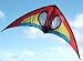 My Fly Sports Kite in red