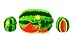 WATERMELON 3-D Table Set w/S & P *NEW*