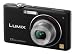 Panasonic Lumix FX40 Digital Camera - Black (12.1MP, 5x Optical Zoom) 2.5 inch LCD
