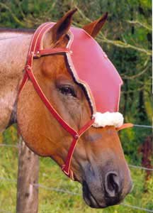 Equiface Saver
