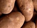 Gem State Potato Flour