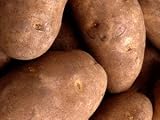 Gourmet Food : Gem State Potato Flour