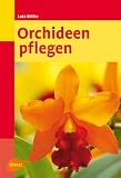 Orchideen pflegen - Majestäten auf der Fensterbank