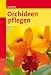 Orchideen pflegen