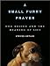A Small Furry Prayer: Dog Rescue and the Meaning of Life