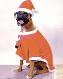 Happy Holly 2 Piece Santa Claws Holiday Dog Costume