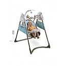 Fisher Price Power Plus Plug In Swing   Best Friends