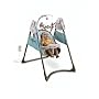Fisher-Price Power-Plus Plug-In Swing - Best Friends