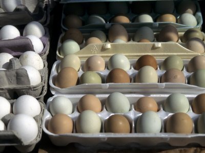 Fresh Farm Eggs are on Display at a Farmers Market in Madison, Wisconsin
