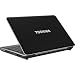 41wydxDe6IL. SL75  Toshiba Satellite A505S6981 TruBrite 16.0Inch Black/Silver Laptop 3