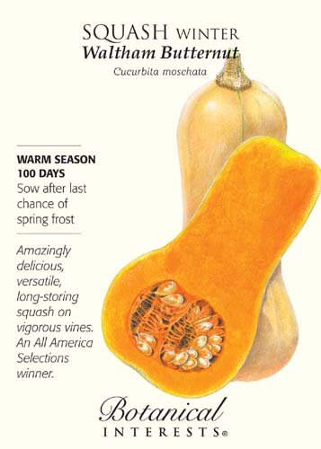 Waltham Butternut Winter Squash Seeds - 4 grams - Botanical Interests Waltham Butternut Winter Squash Seeds - 4 grams - Botanical Interests