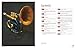 Brass Instrument Manual: How to buy, maintain and set up your trumpet, trombone, tuba, horn and cornet