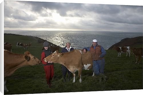 Canvas Prints of Alderney Farmer from Country Life 