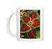 Photo Mugs of Coleus Winsome - (under glass) in beautiful Victorian greenhouses from Ardea Wildlife Pets