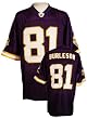 Minnesota Vikings Mens NFL Football Jersey Nate Burleson #81 Purple