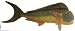 Mahi Mahi Fish 10 Plush Stuffed Animal Toy