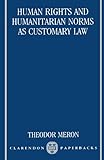 Human rights and humanitarian norms as customary law