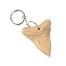 Sharks Tooth Key Chains