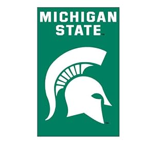 Michigan State Applique Banner Flag