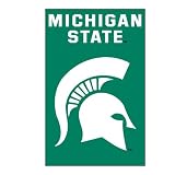 Michigan State Spartans Banner Flag