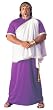 Plus Size Julius Caesar Costume