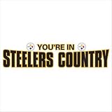 NFL Pittsburgh Steelers "You're In Steelers Country" White 8 Foot Banner