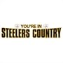 NFL  Pittsburgh Steelers "You're In Steelers Country" White 8 Foot Banner