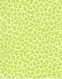 Animal Print Green Kids Wallpaper