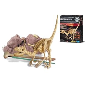 Kidzlabs - Dig A Velociraptor Skeleton