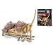 Kidzlabs - Dig A Velociraptor Skeleton