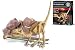 Kidzlabs - Dig A Velociraptor Skeleton