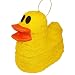 Duck Shaped Pinata