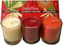 Stella Mare Natural Soy Vanilla Nutmeg, Cranberry Tangerine & Pumpkin Votive Set of 3 In Glass
