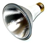 Tools & Hardware : 75 watt 130 volt PAR30 Medium Screw (E26) Base Sylvania Light Bulb