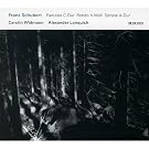 Fantasie C-Dur - Rondo H-Moll - Sonate A-Dur